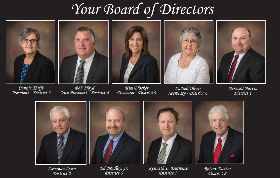board of directors